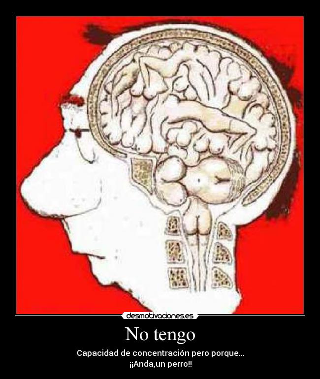 No tengo - 