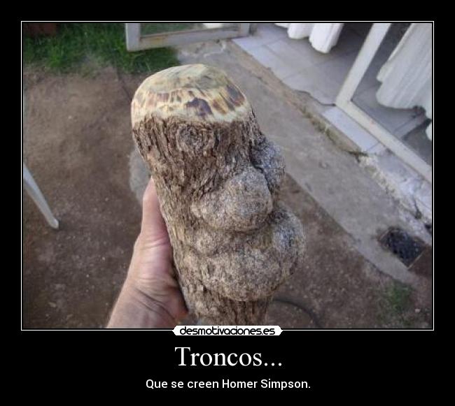 Troncos... -