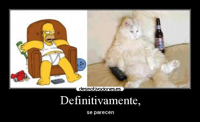 Definitivamente, - se parecen