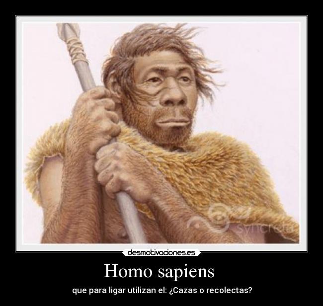 Homo sapiens  - que para ligar utilizan el: ¿Cazas o recolectas?