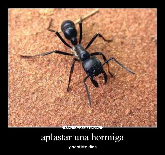 aplastar una hormiga - y sentirte dios