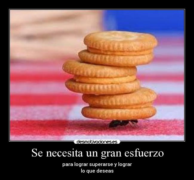Se necesita un gran esfuerzo - para lograr superarse y lograr
lo que deseas