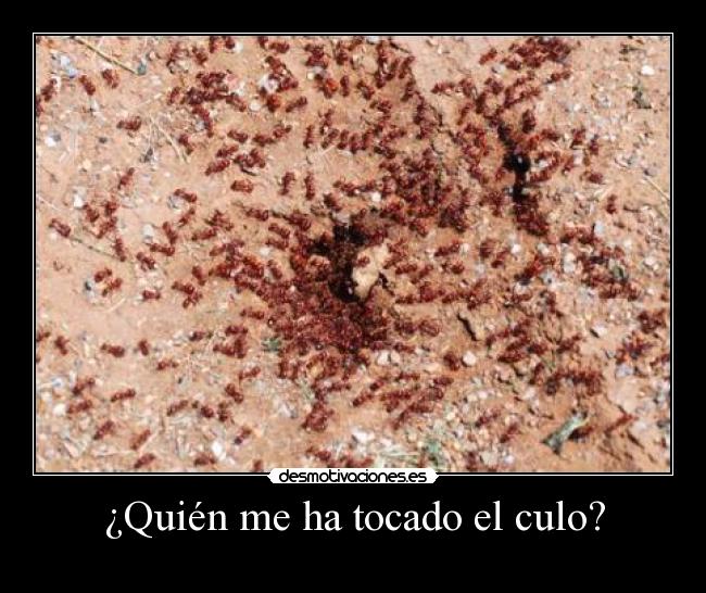 ¿Quién me ha tocado el culo? - 