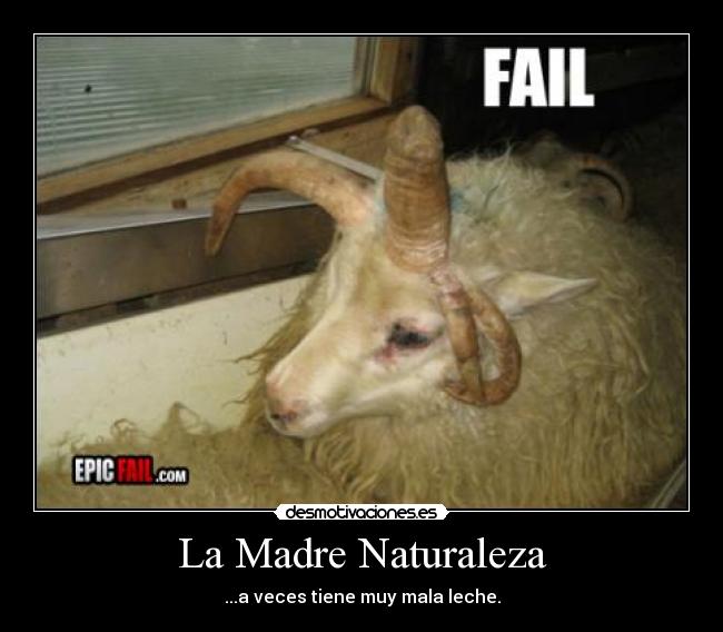 La Madre Naturaleza - ...a veces tiene muy mala leche.