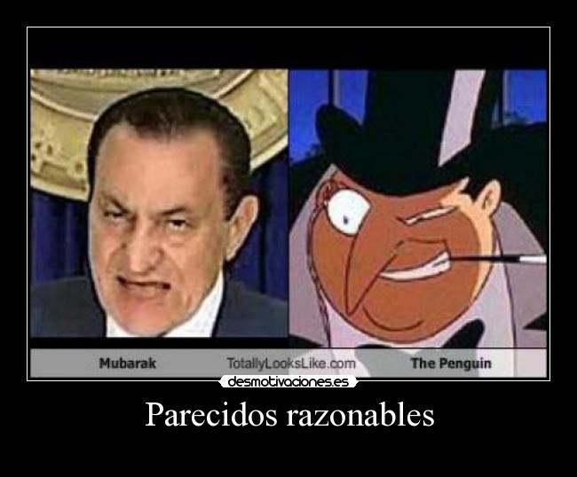 Parecidos razonables -