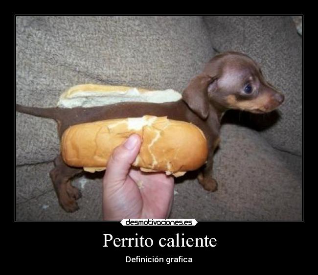 Perrito caliente -