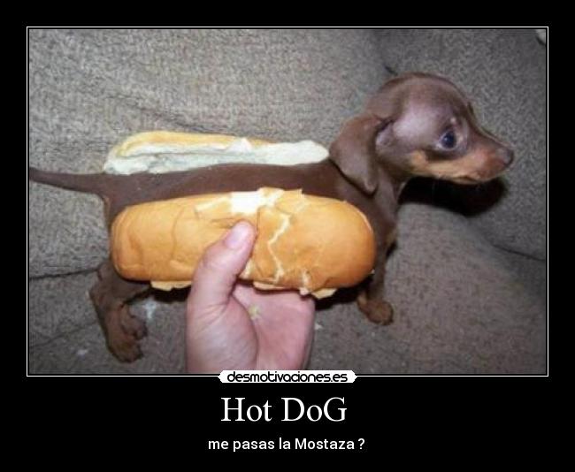 Hot DoG -