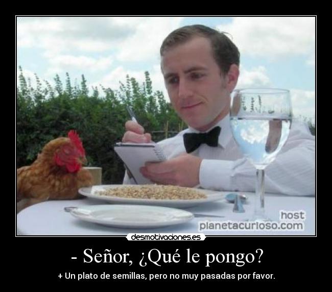 - Señor, ¿Qué le pongo? - + Un plato de semillas, pero no muy pasadas por favor.