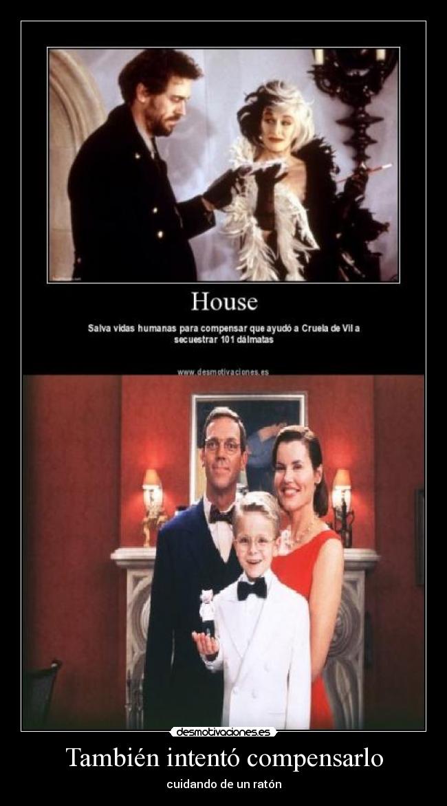 También intentó compensarlo - cuidando de un ratón