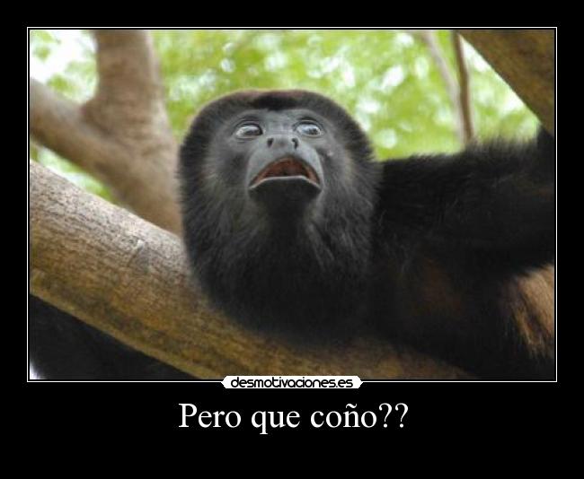 Pero que coño?? -