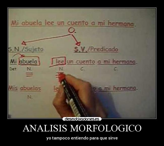 ANALISIS MORFOLOGICO -