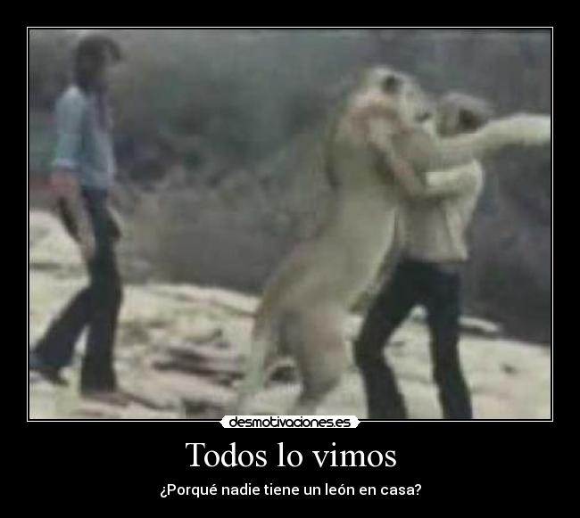 carteles animales desmotivaciones