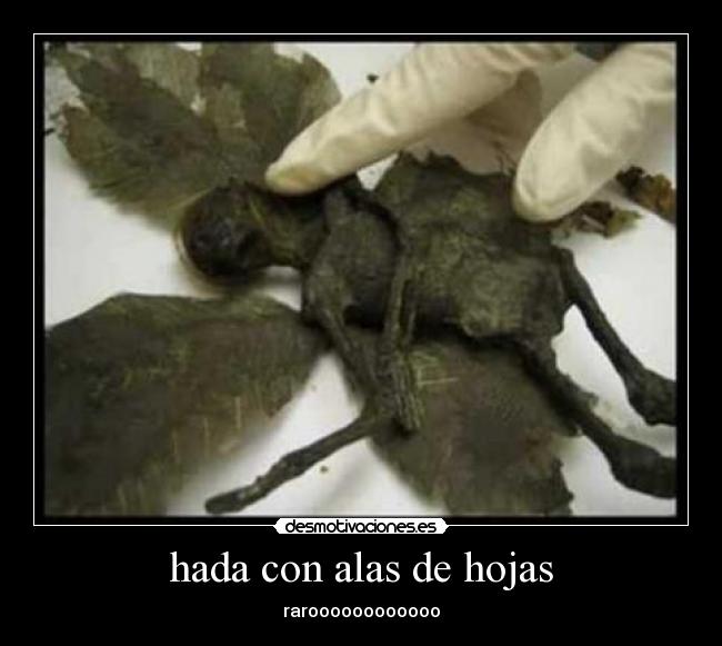 hada con alas de hojas - raroooooooooooo