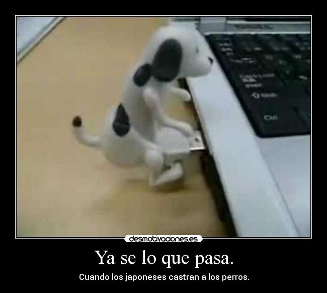 Ya se lo que pasa. - Cuando los japoneses castran a los perros.