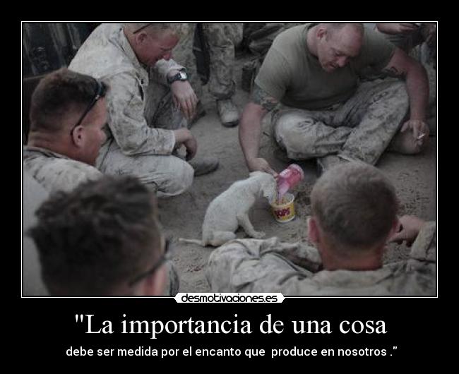 La importancia de una cosa - 
