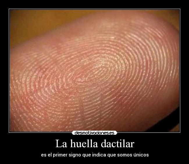 La huella dactilar -