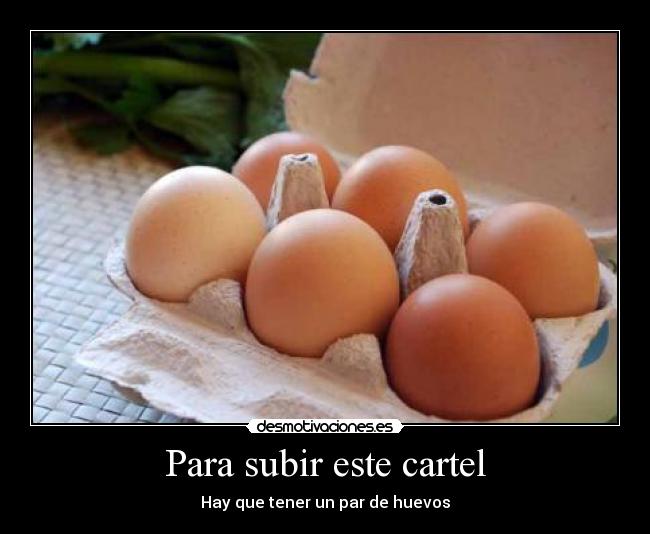 carteles huevo desmotivaciones