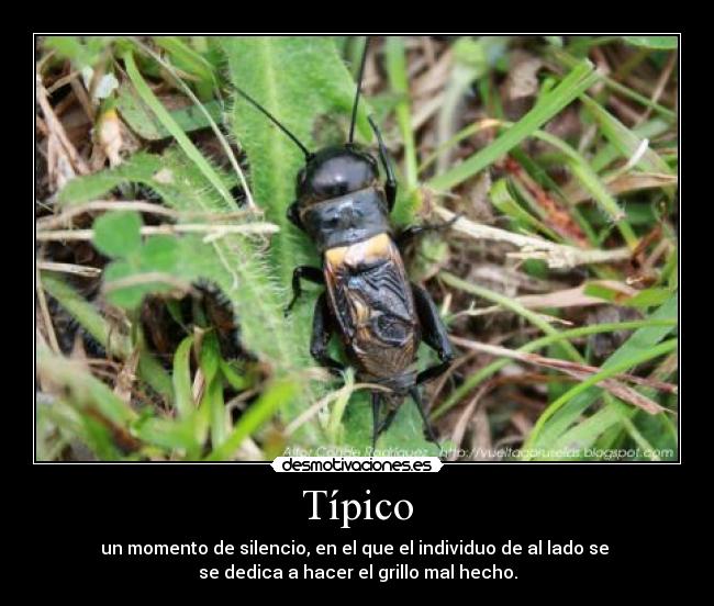 Típico -