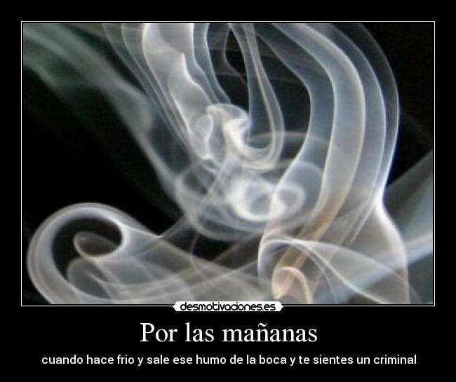 Por las mañanas - 