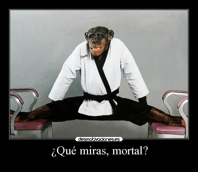 ¿Qué miras, mortal? -