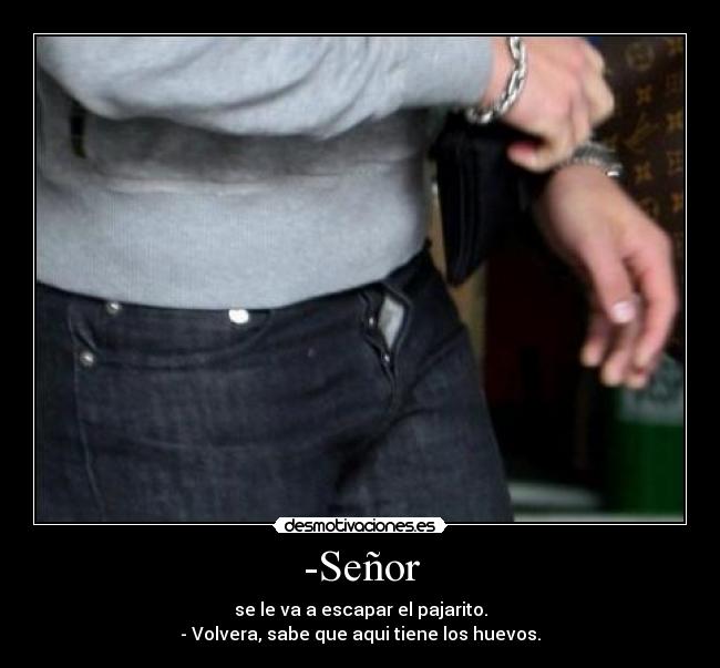 -Señor - se le va a escapar el pajarito.
- Volvera, sabe que aqui tiene los huevos.