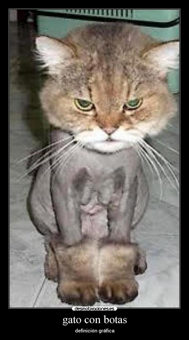 gato con botas - 