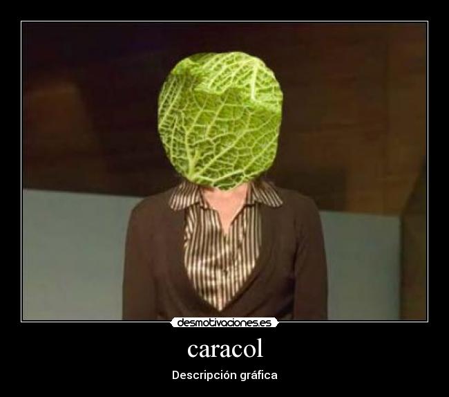 caracol - Descripción gráfica