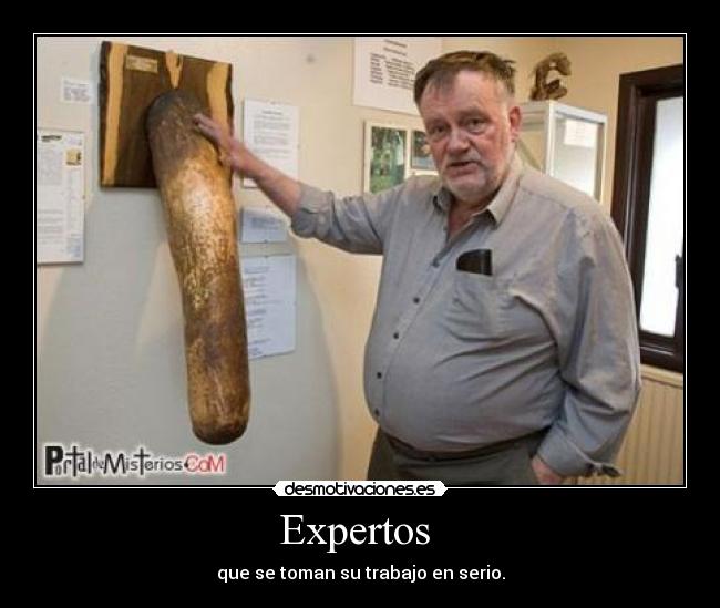 Expertos  - 