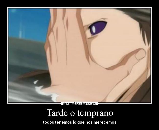 carteles aizen ichigo facepalm desmotivaciones