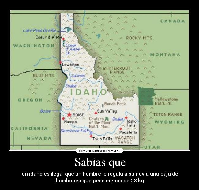 Sabias que -