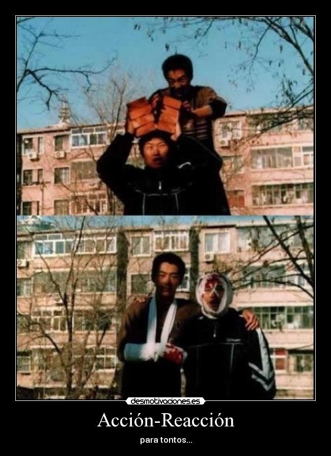 Acción-Reacción - para tontos...