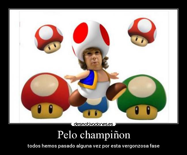 Pelo champiñon -