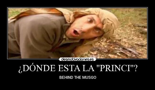 ¿DÓNDE ESTA LA PRINCI? - 