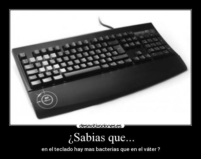 ¿Sabias que... - 