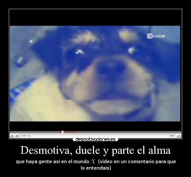 Desmotiva, duele y parte el alma - que haya gente así en el mundo :( (video en un comentario para que lo entendais)