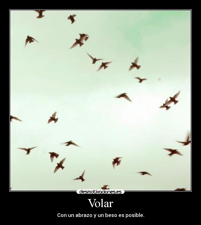 Volar - 