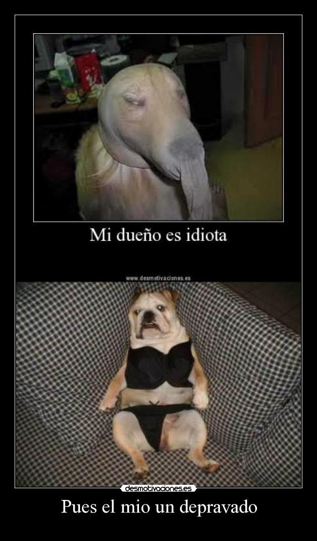 Pues el mio un depravado -