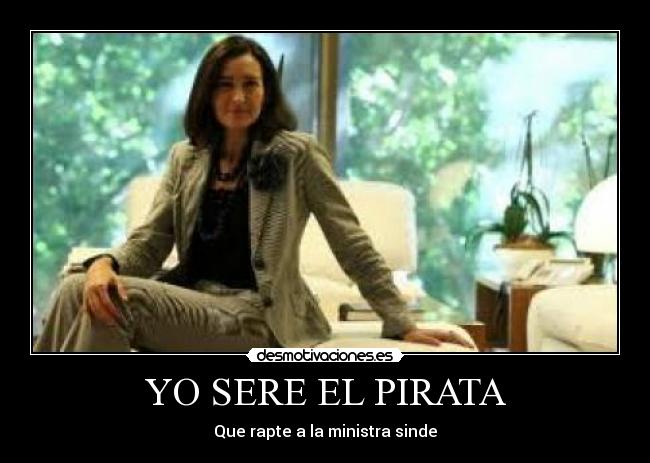 carteles sinde ministra pirata ley desmotivaciones