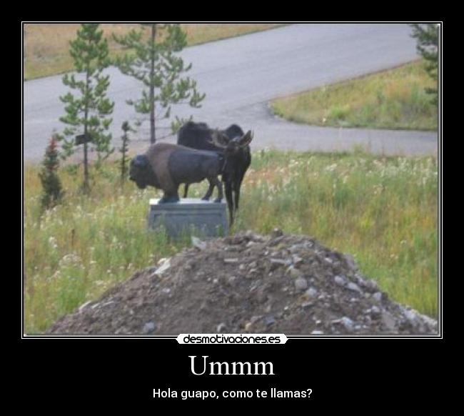 Ummm - Hola guapo, como te llamas?