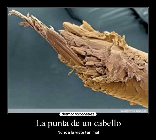 La punta de un cabello - Nunca la viste tan mal