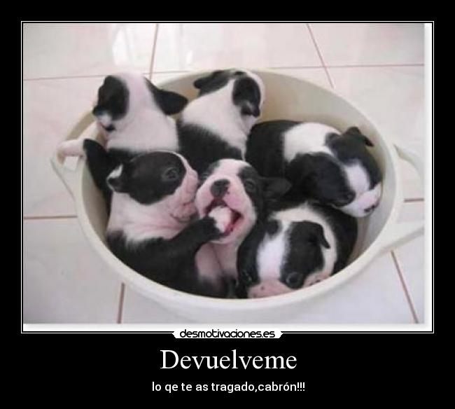 Devuelveme - lo qe te as tragado,cabrón!!!