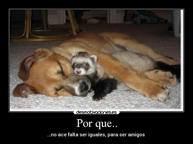 Por que.. - 
