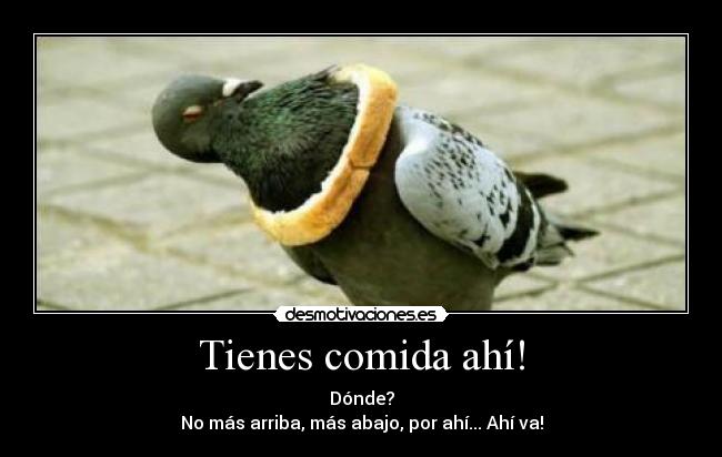 Tienes comida ahí! - 
