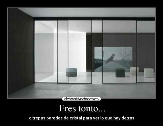Eres tonto... - 