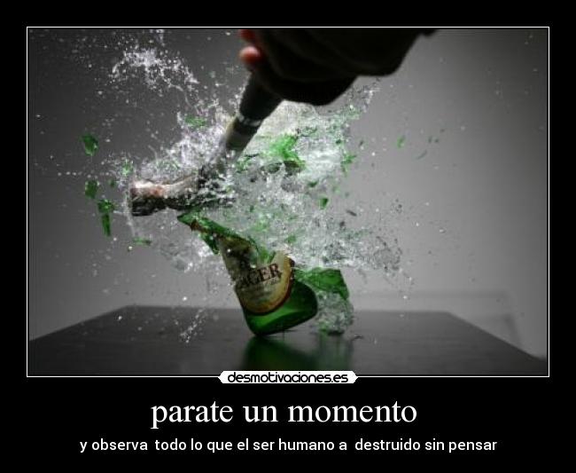 parate un momento - y observa todo lo que el ser humano a destruido sin pensar