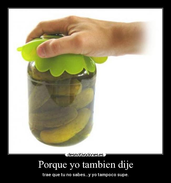 Porque yo tambien dije - 