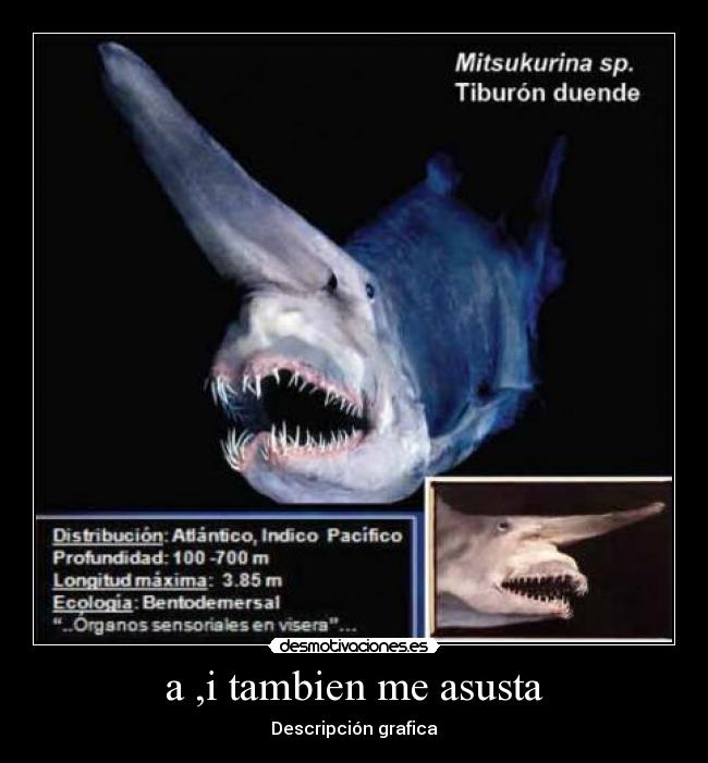 a ,i tambien me asusta -