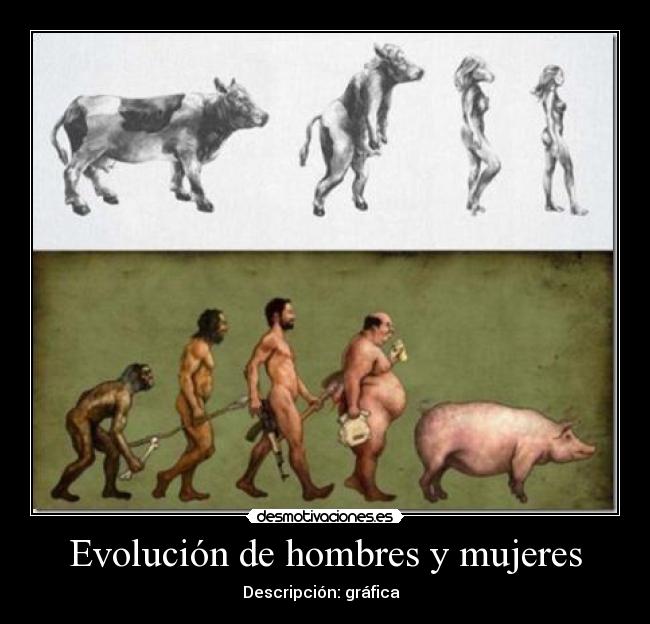 Evolución de hombres y mujeres - Descripción: gráfica  