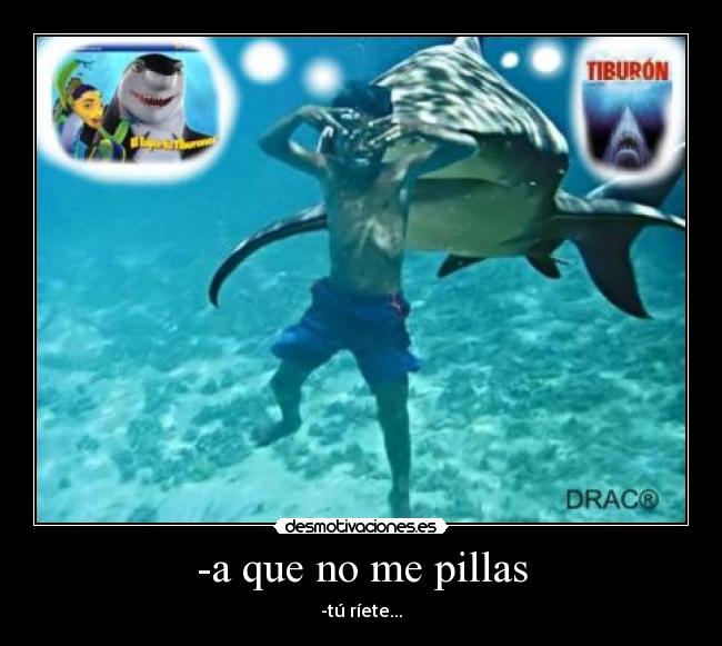 -a que no me pillas - -tú ríete...