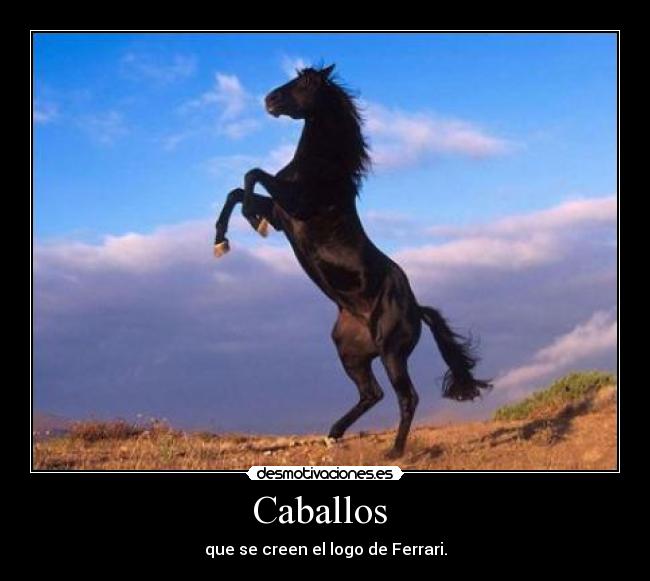 Caballos - que se creen el logo de Ferrari.